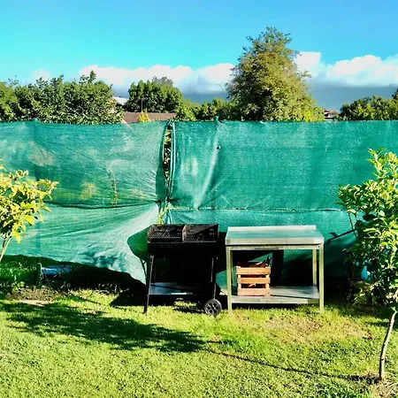 La Casa Verde *